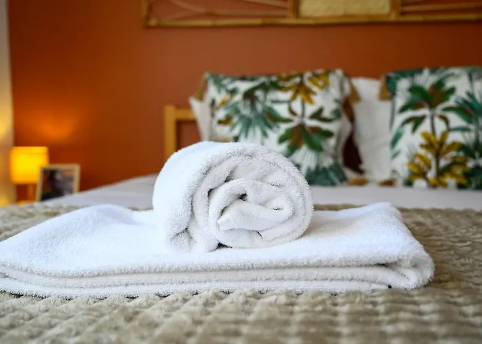 Le Grand Michelet Bel Familial Calme Apartman Tours