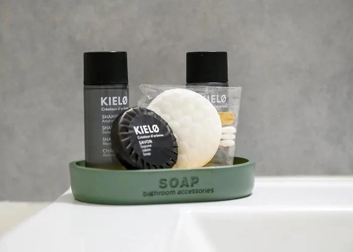 Le Grand Michelet Bel Familial Calme Tours